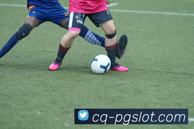 麻将胡了PG电子官网服务体系